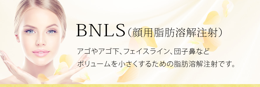 アゴやアゴ下、フェイスライン、団子鼻などボリュームを小さくするための脂肪溶解注射です。